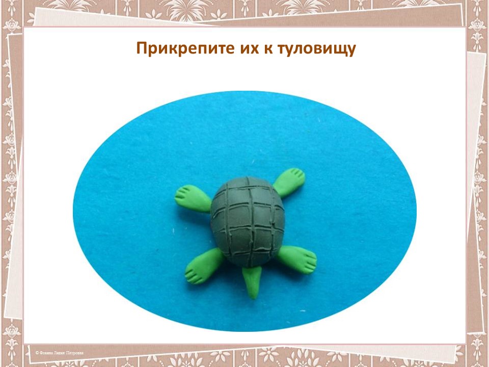 Черепаха средняя группа. Лепка черепаха. Черепаха из пластилина для детей. Лепка черепаха в старшей группе. Поэтапная лепка черепахи.
