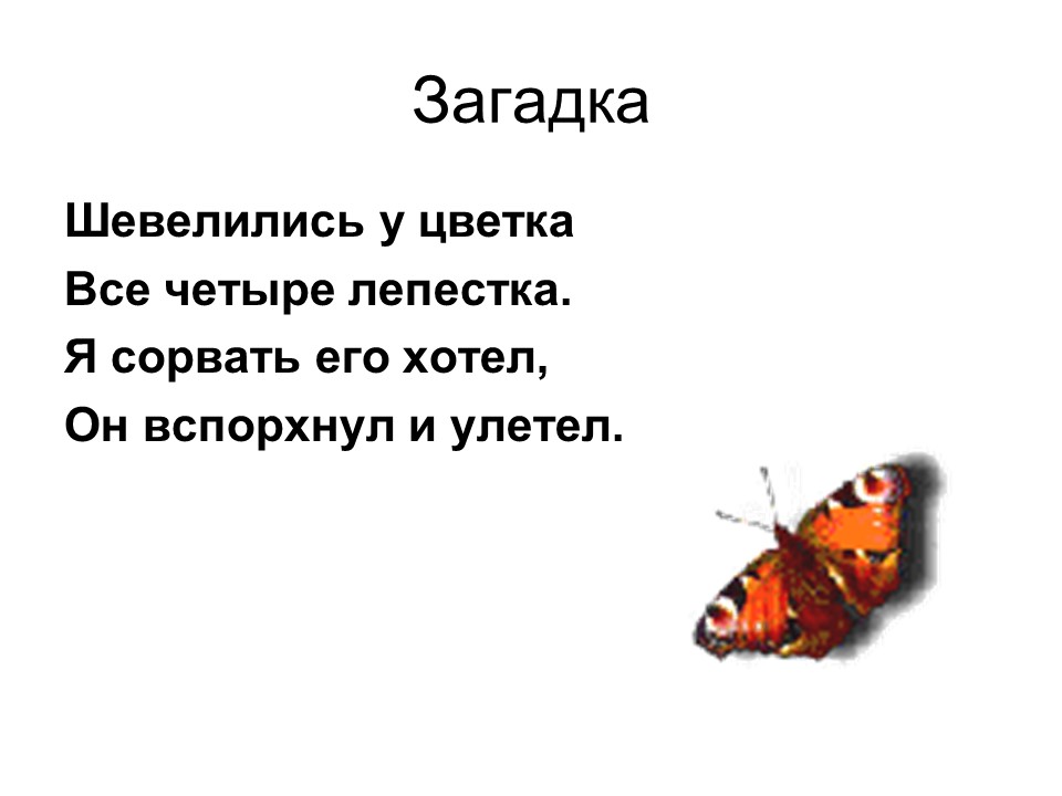 Загадка четыре. 4 Загадки. Загадка про цифру 4. Загадки шевелились у цветка все четыре лепестка. Загадки про цифру четыре.