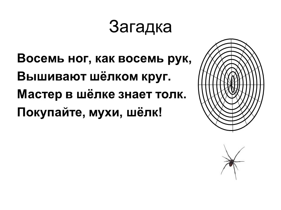 Загадка про 8. Загадка. Загадка про восемь. Восемь ног как восемь рук вышивают шелком круг. Восемь ног как восемь рук.